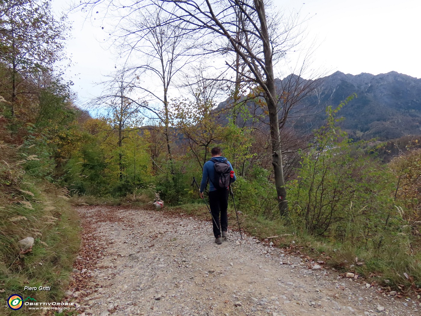 63 Breve tratto sulla strada agrosilvopastorale.JPG